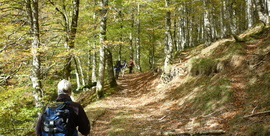 AGIRI- MADOTZ (NAFARROA)